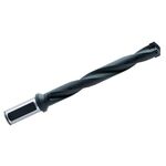 Корпусное сверло ISD10.MC.150.W20