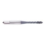 E220-SJE-020040L P2 (M2x0,4) метчик HSSE P (M) JIS ISO 6H