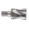 XSEME01120050 Тверд. головка для фрезы i-Smart Modular Head, радиусная 12(R0.5)XM6X12X20.5