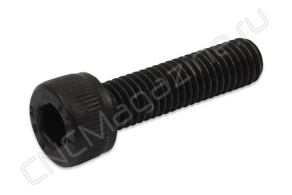 M5x25 (CM5x8.65XA1) винт
