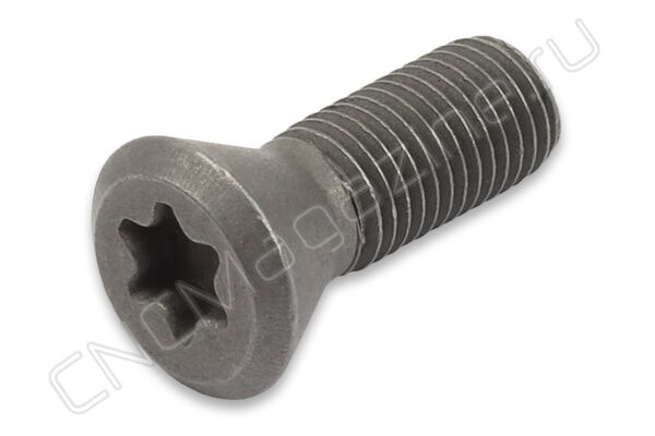 L60M4*0.5*10D винт