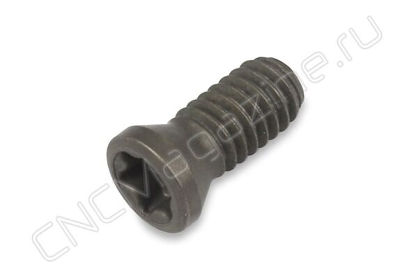3008-M2.5X6 винт Microbor