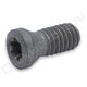 Винт SI60M025065-03610IS