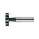 ML06222E03 Фреза Т-образная 22.5X10X6X63 для шпоночных пазов Milling Cutter